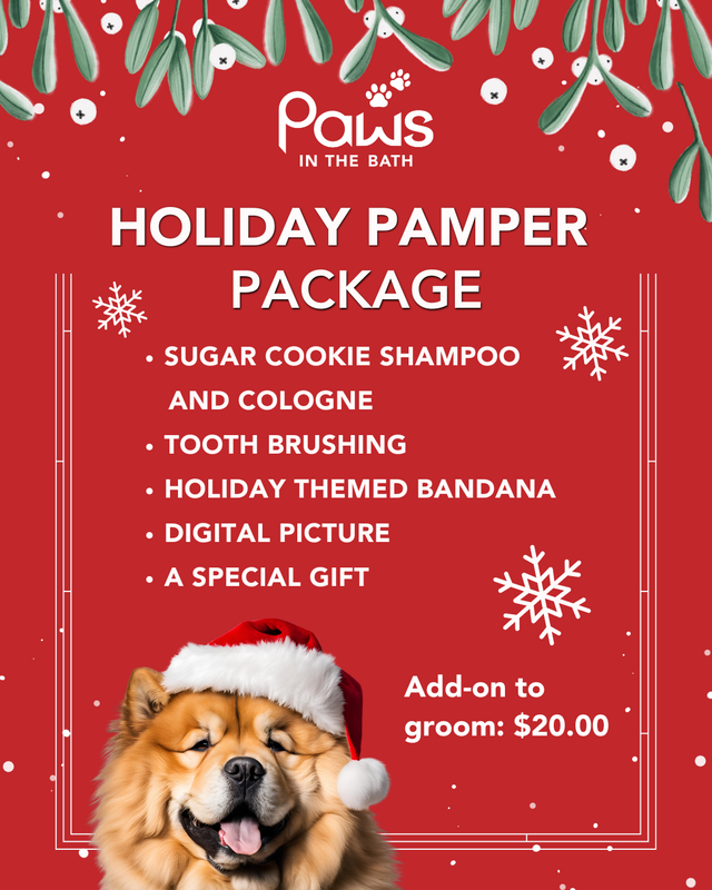 Dog fashion grooming specials